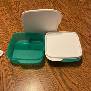 Tupperware to go containers